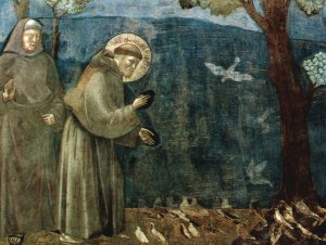 Franciscus, Giotto, Assisi, vogels 