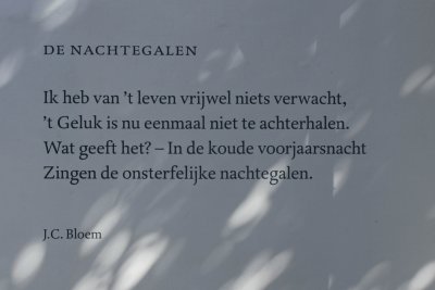 Bloem Den Haag