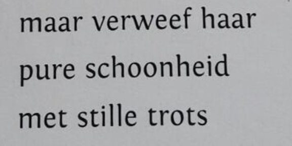 Poëzie, Amersfoort, Cees van Weerd