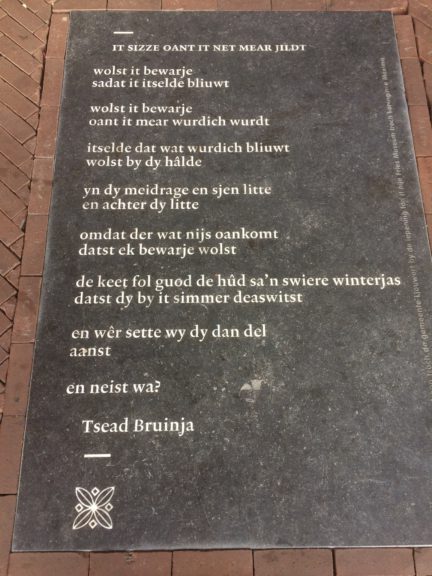 Poëzie, gedicht, Tsead Bruinja, Leeuwarden