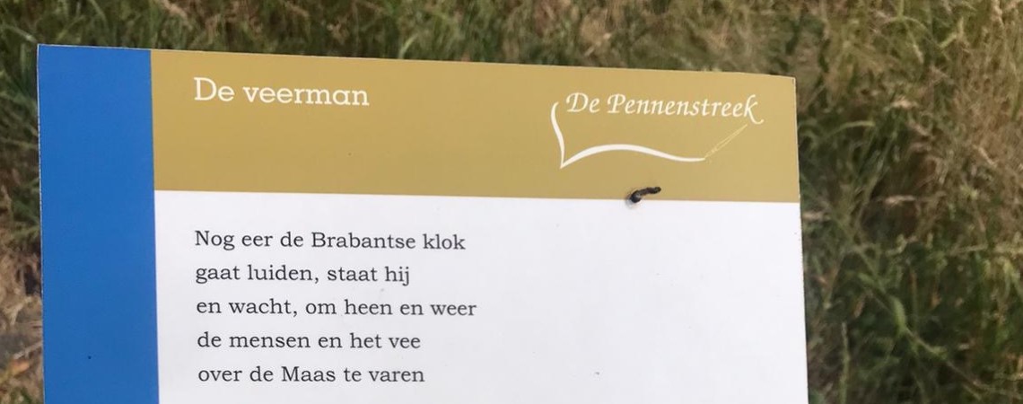 Poëzie, gedicht, Ans van Kessel, Vogelzang