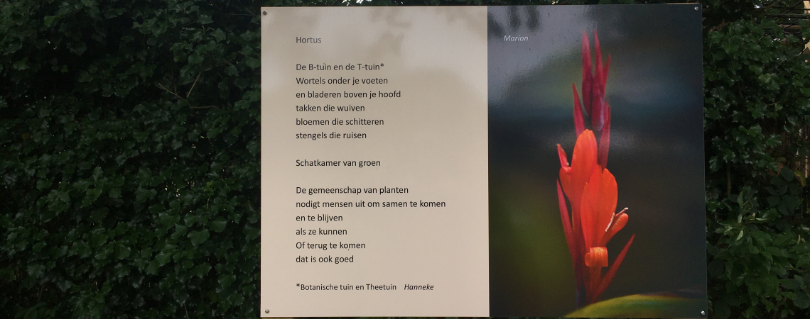 Poëzie, straatpoëzie, gedicht, Hanneke, Nijmegen