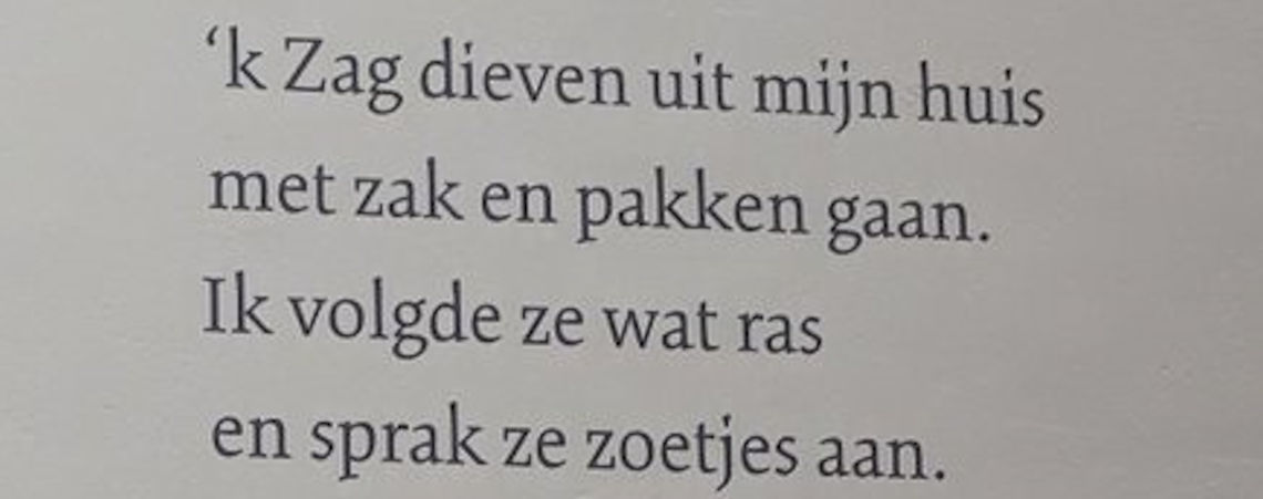 Poëzie, straatpoëzie, gedicht, Constantijn Huygens, Voorburg