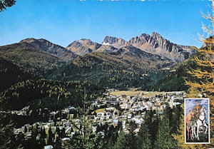 Dolomiti - S. Martino di Castrozza m. 1444 con le Cime Colbricon m. 2603 e Ceremana m. 2699