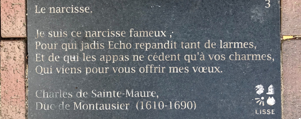 Poëzie, straatpoëzie, gedicht, Charles de Sainte-Maure, Lisse