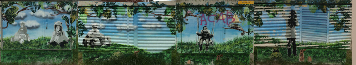 Transformatorkastje met street art van Nina Paintina
