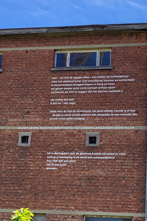 Titelloos gedicht van Aya Sabi, gevonden op de Hertogensite in Leuven.
