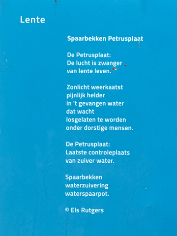 Spaarbekken Petrusplaat van Els Rutgers